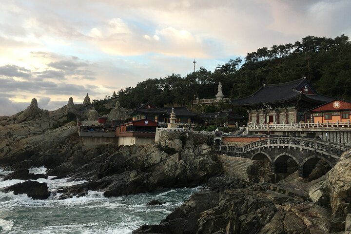 Busan highlight small group tour including Gamcheon and Yonggugsa temple - Photo 1 of 7